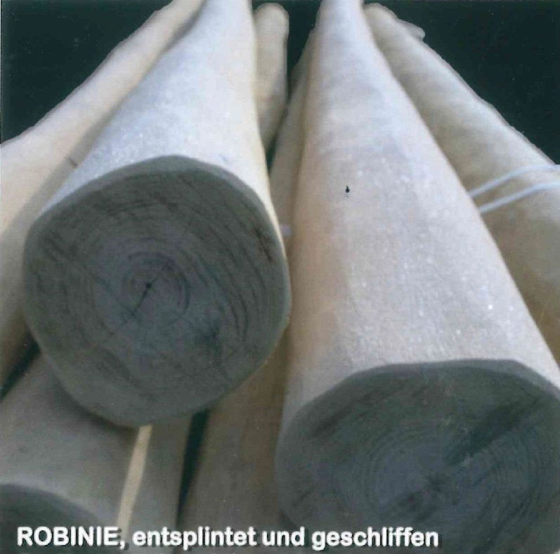 Baumpfähle, Robinie, roh, geschält, entsplintet