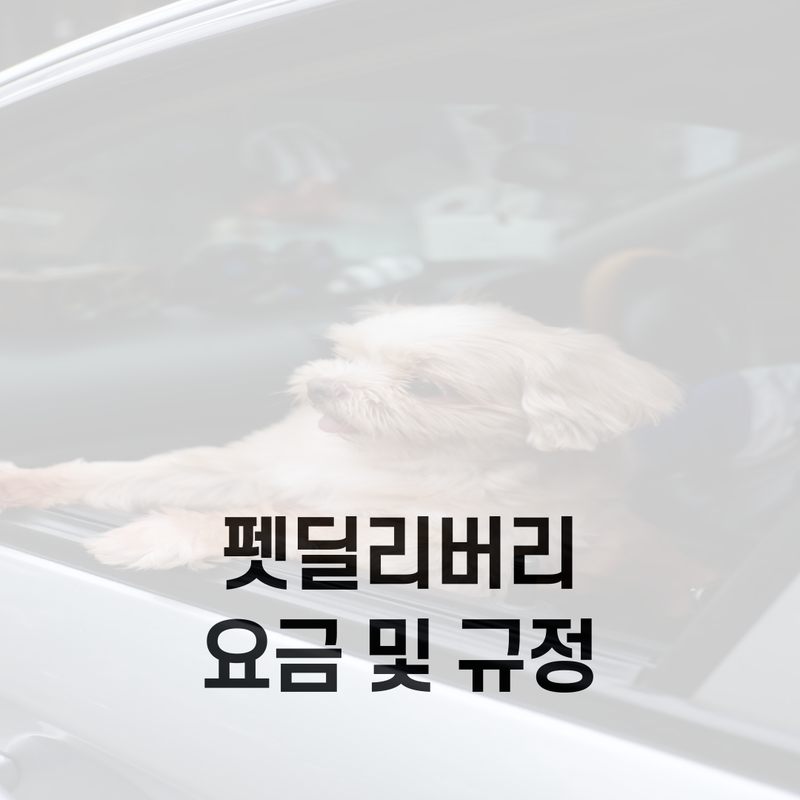 알라딘펫택시 예약서비스