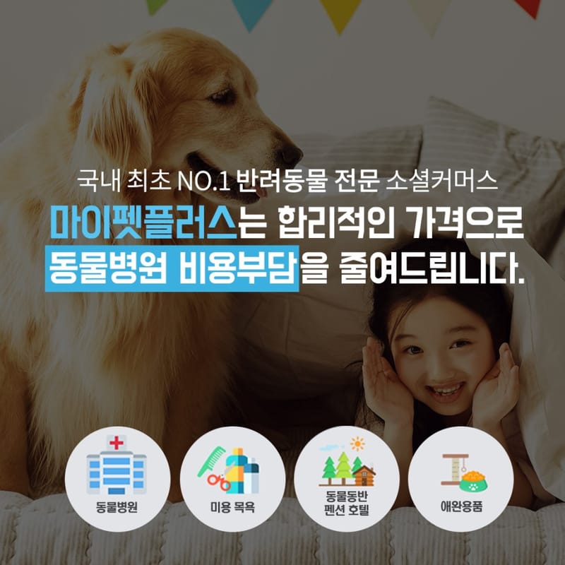 동물병원 견적비교