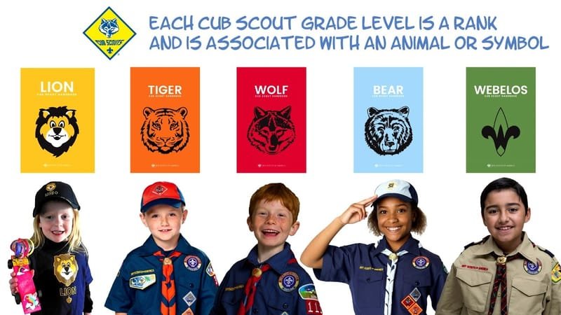 Cub Scout promotion