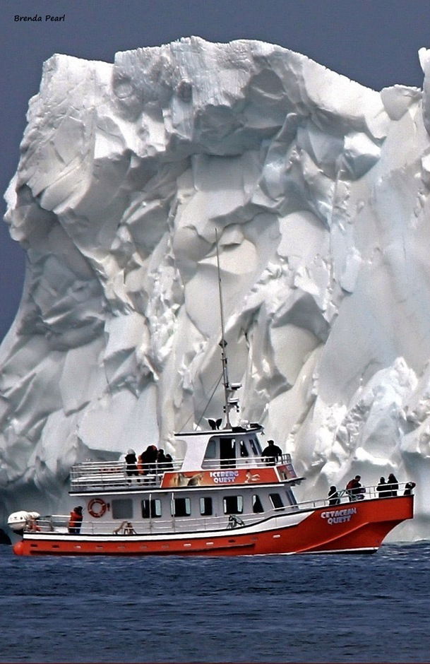 Boat Tours