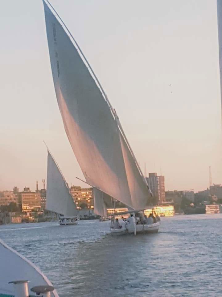 Cruising the Nile