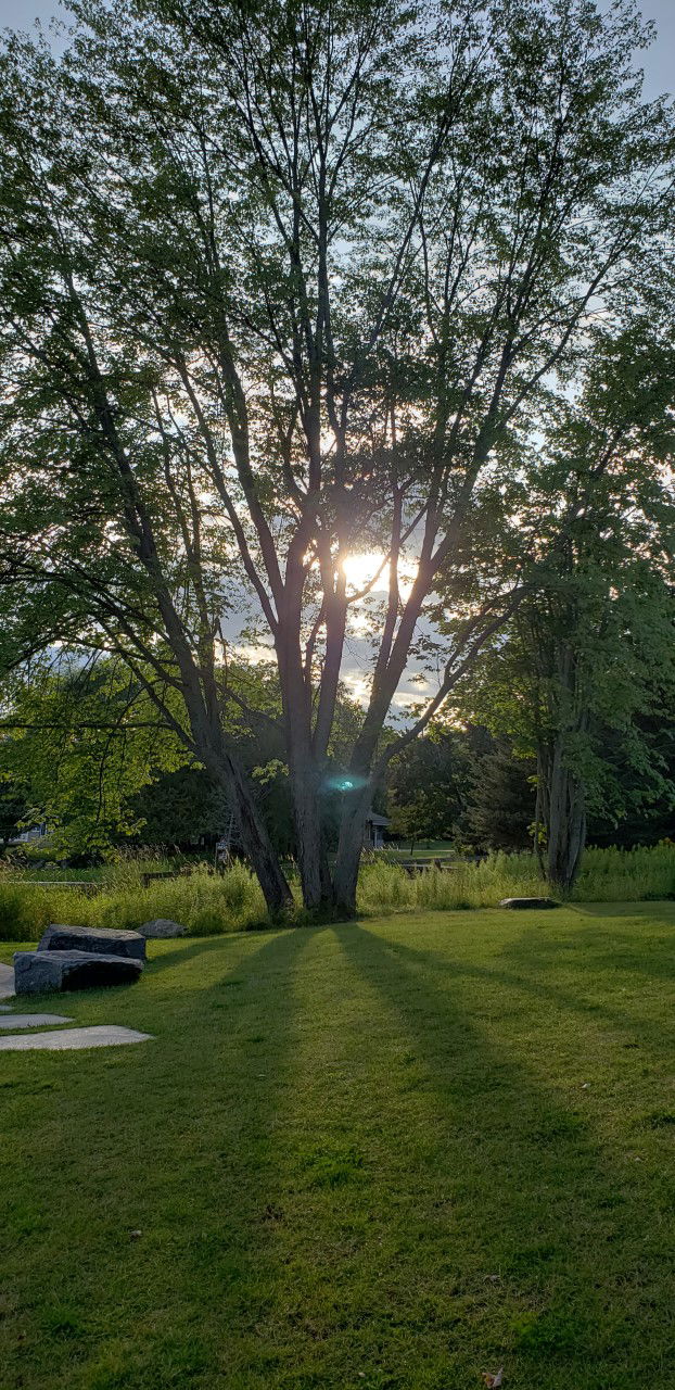 The sun rising on the Muskoka's, Canada