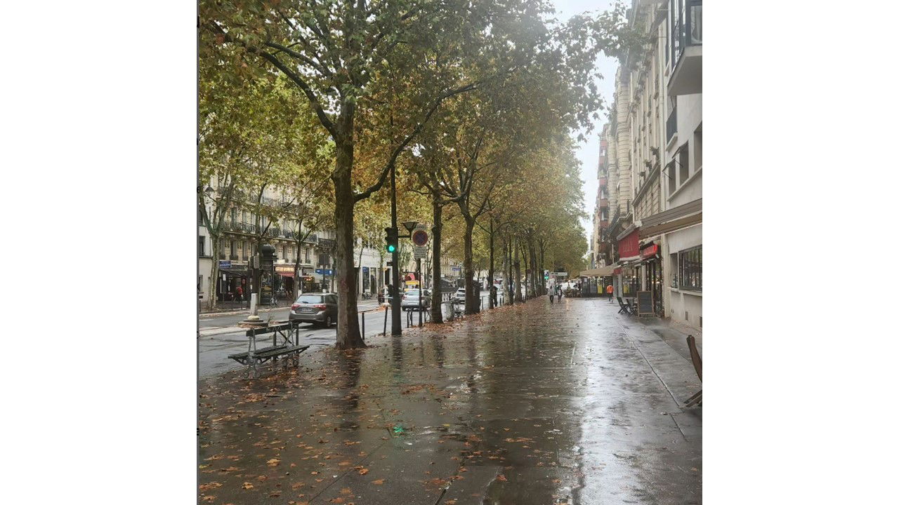 Paris in the rain