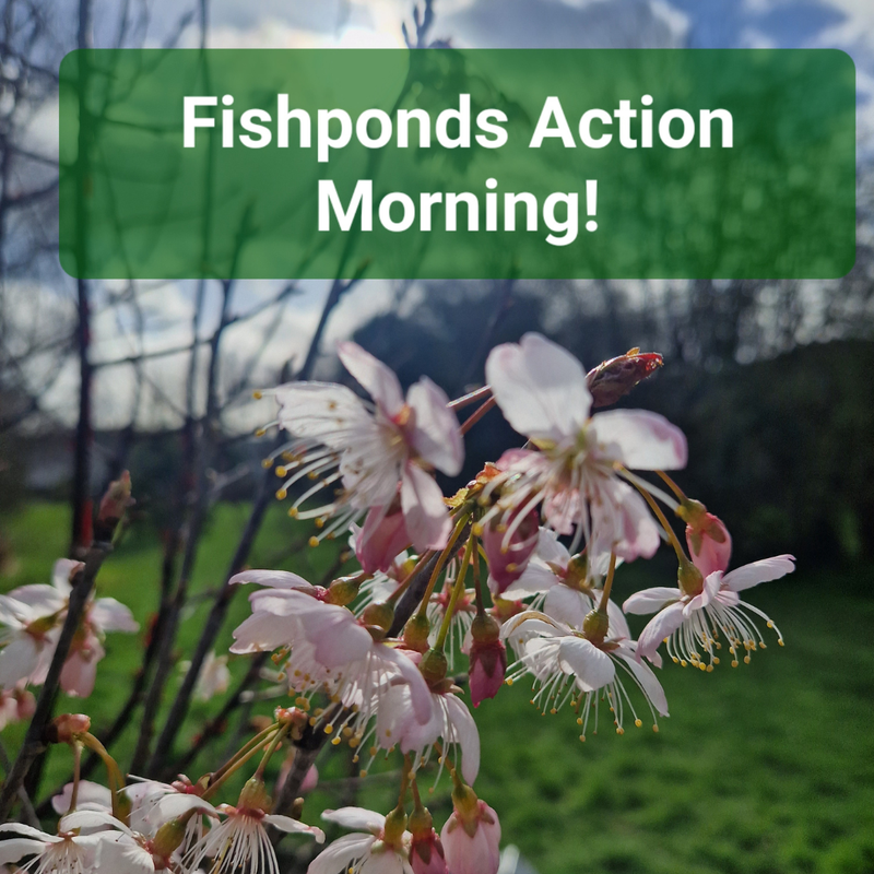 Fishponds Action Day