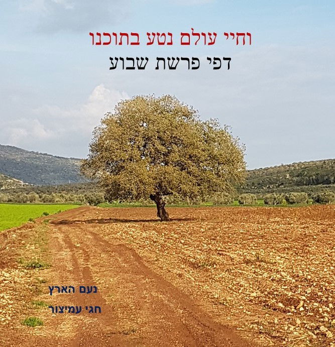 ויגש