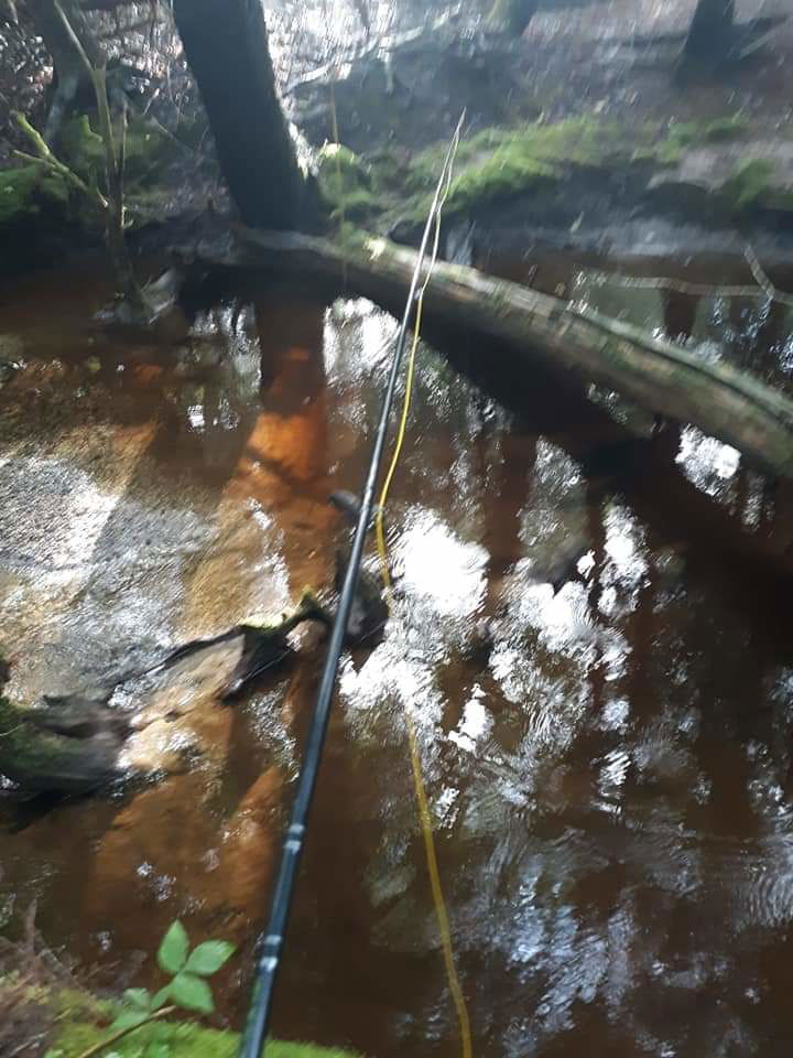 Remote brook