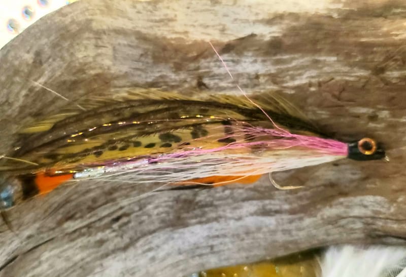 Rainbow Trout LAKESIDE FLIES