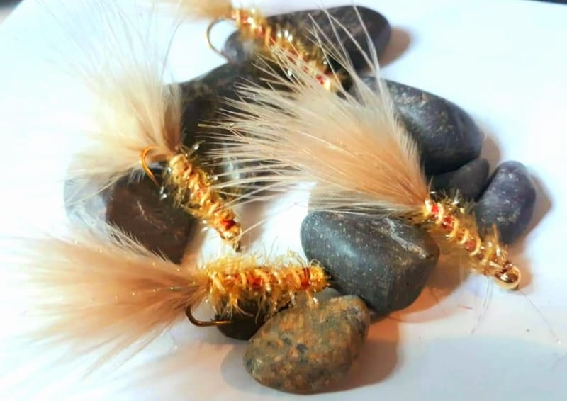 Golden Retriever LAKESIDE FLIES