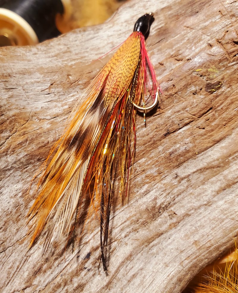 Golden Retriever LAKESIDE FLIES