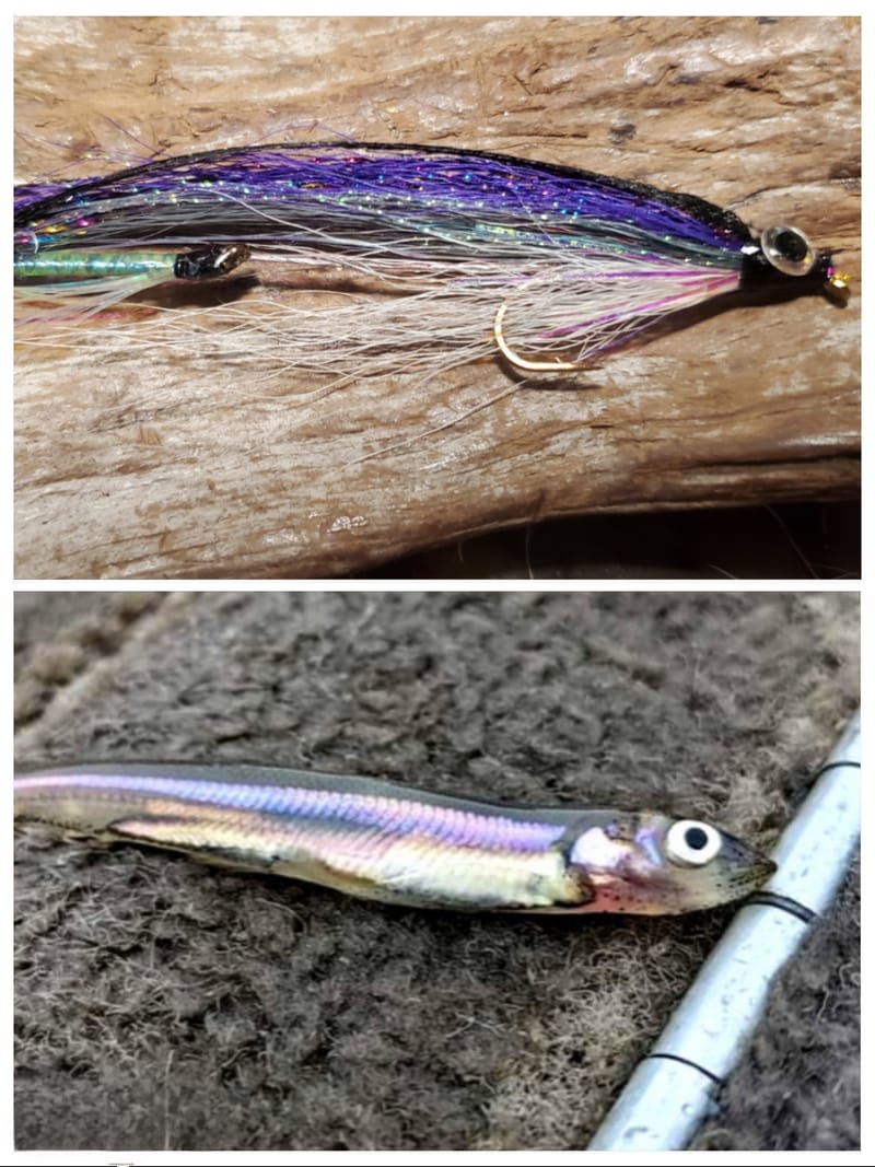 Rainbow Smelt LAKESIDE FLIES