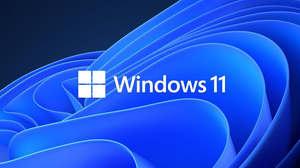 Windows 11 : La montée en popularité s'accélère, mais Windows 10 demeure le roi indétrônable.