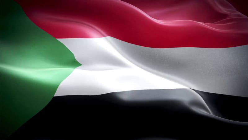 We are looking for a partner for the selection of working personnel in the territory of Sudan