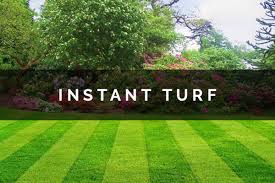 Instant Lawns