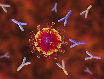 Antibody Society