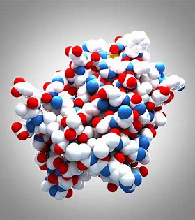 Protein Visualising