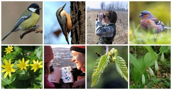 Ébredő természet - tavaszi madárdalos, erdőkóstoló kirándulás - ÖSVÉNY Családi Programok 2020.