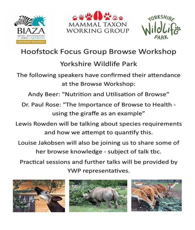 BIAZA Hoofstock Focus Group Browse Workshop