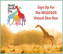 World Giraffe Day Virtual 5K