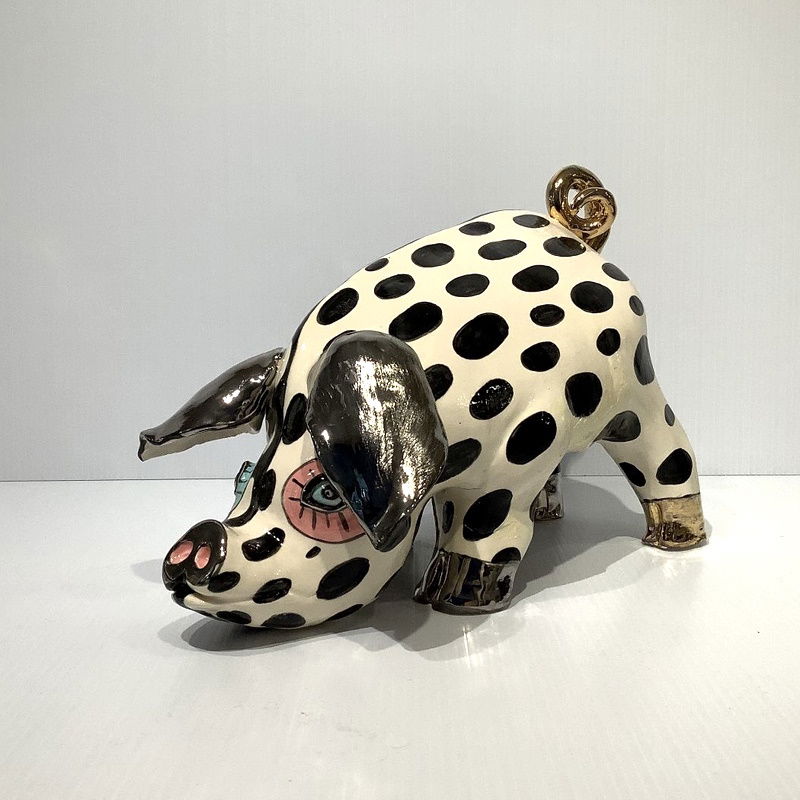 "Spotty Pig"