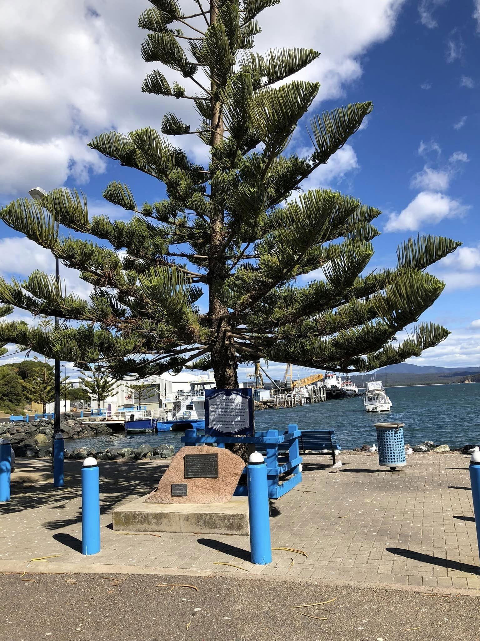 The Quay in Eden, Twofold Bay, NSW