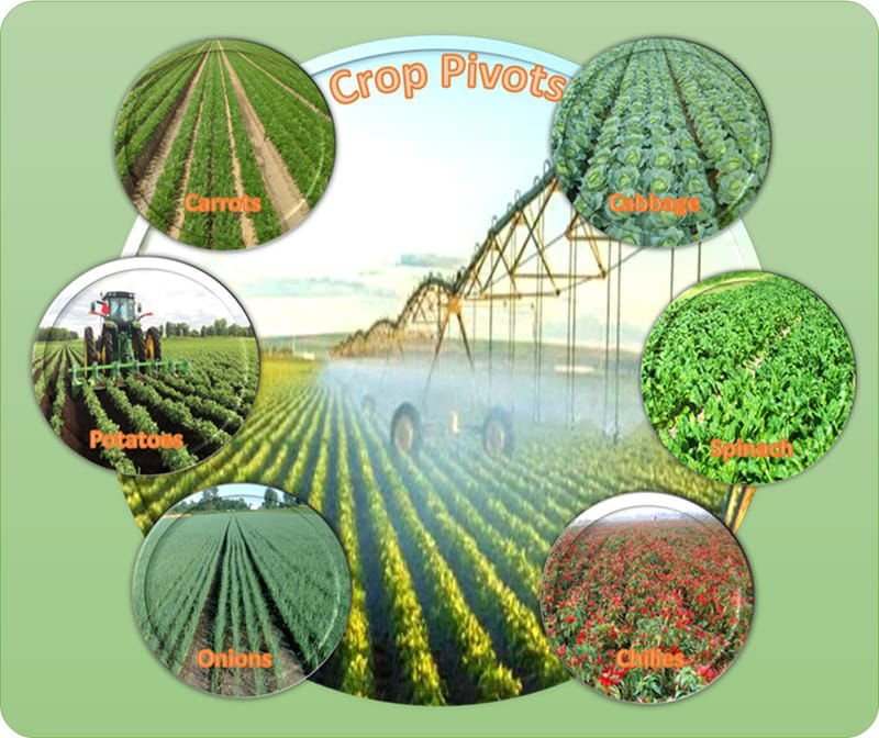 Agri Hub Pivot Production