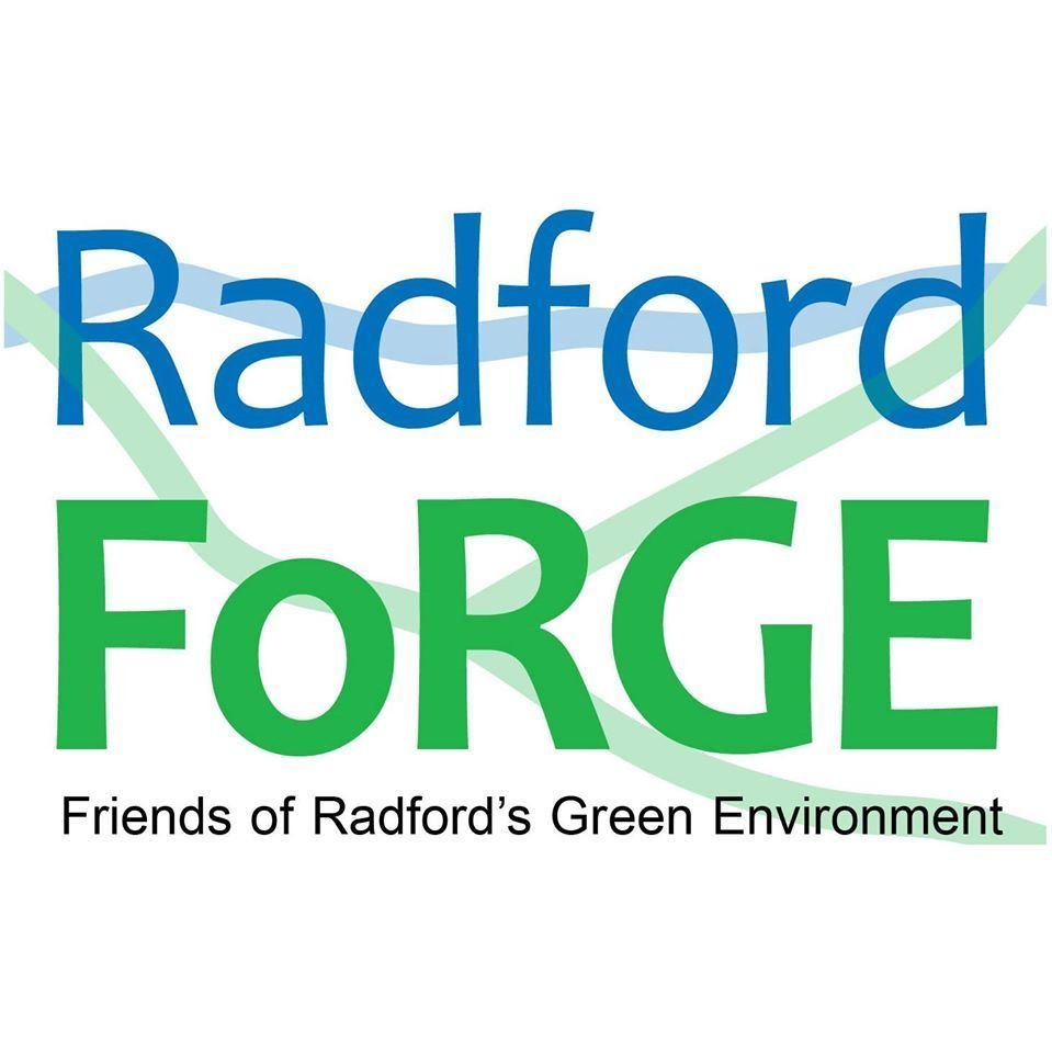 Radford FoRGE (Friends of Radford Green Environment)