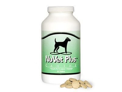 The Vitamin Every Dog Should Be On