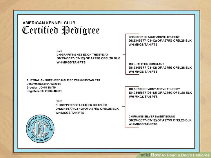 How To Read A Pedigree