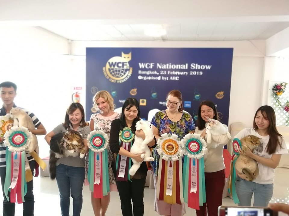 งานประกวด WCF National 2019 ( February 23,2019)