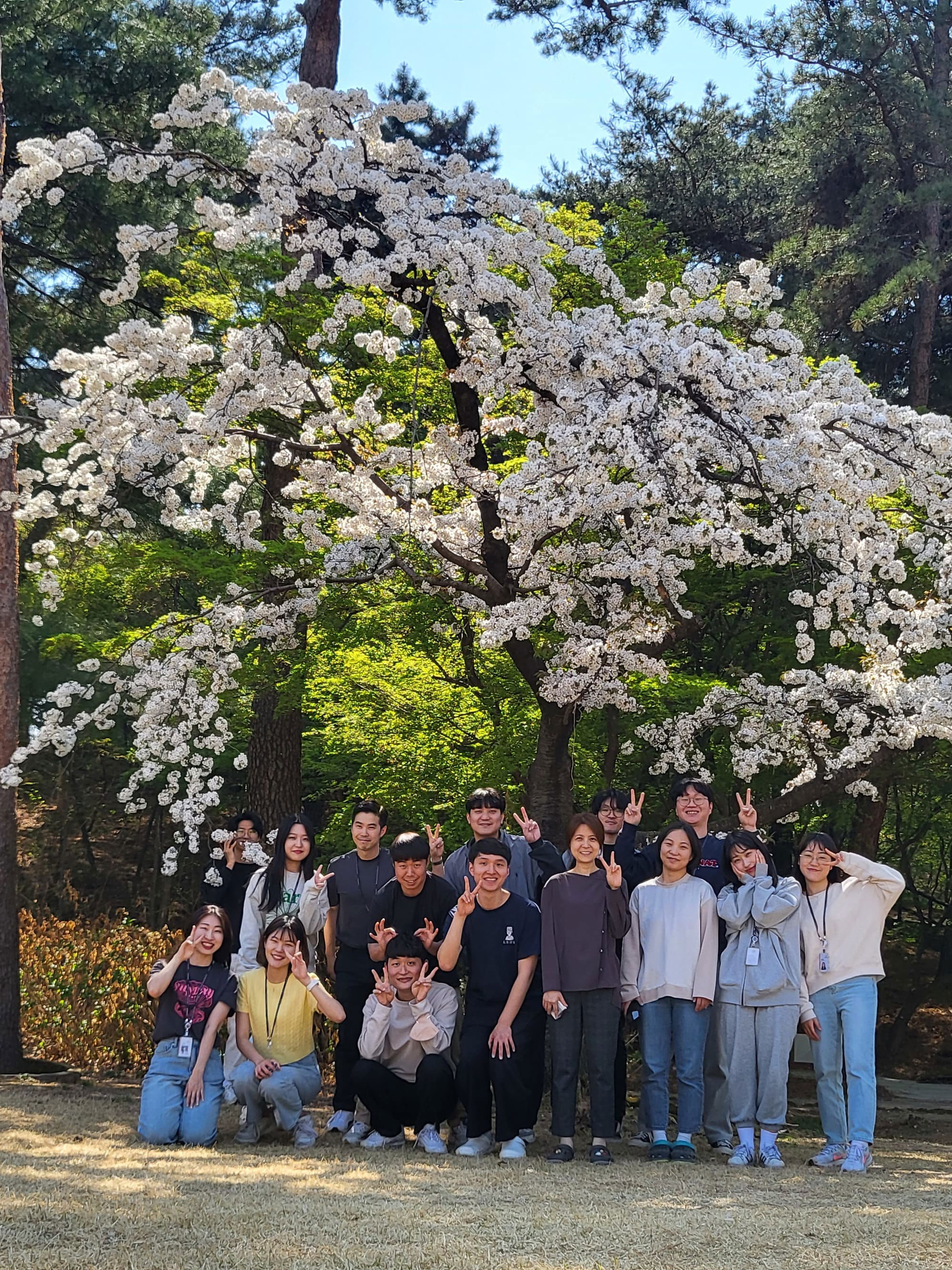 2023 Cherryblossom (with Oh lab)