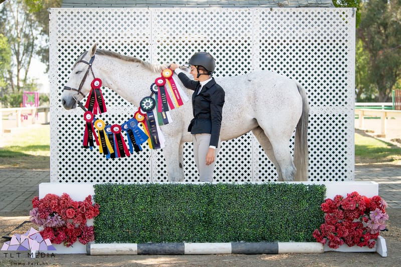 Thoroughbred Schooling Show