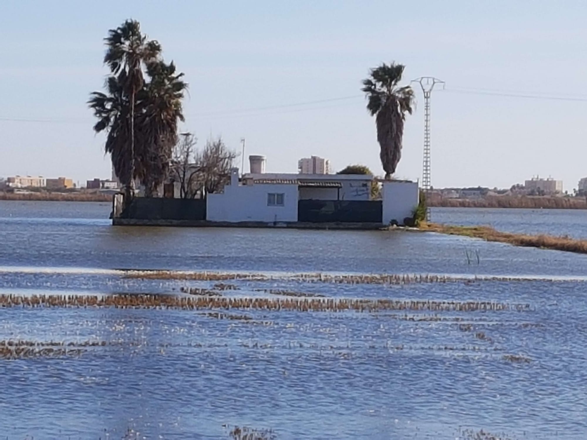 17/01 Valencia (Devesa Gardens), fietstocht naar El Palmar