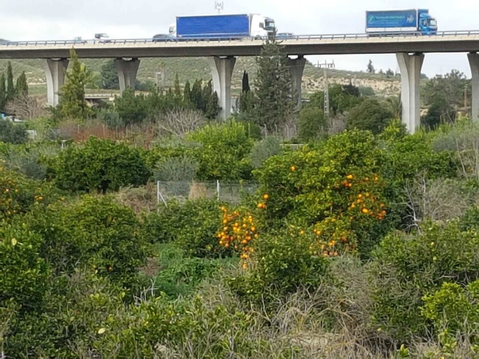 06/02 fietstocht tot einde fietspad na Murcia