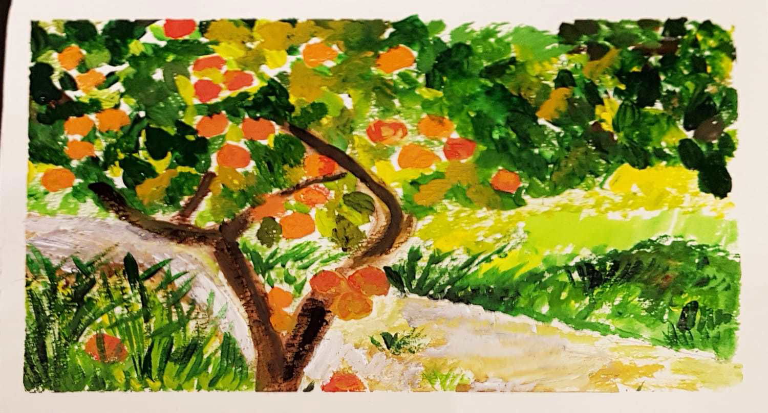 sinasappelboom
