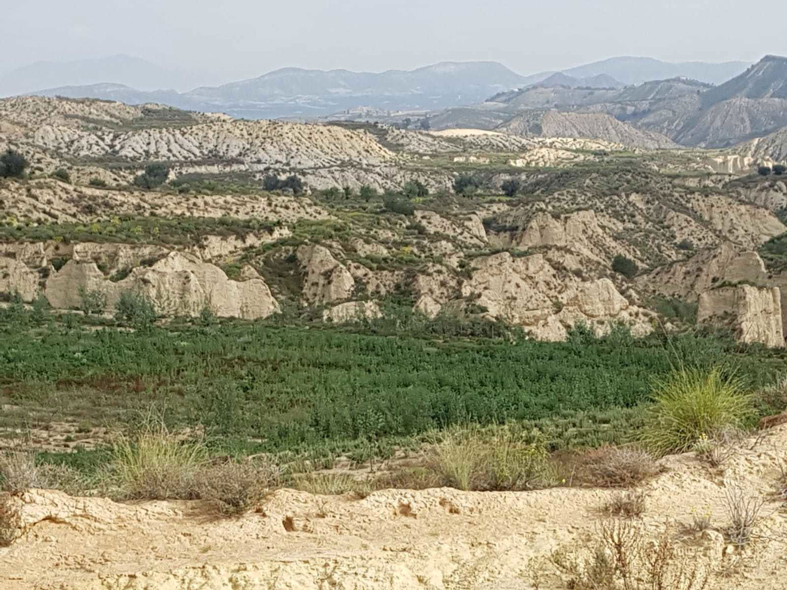 21/02 Los Ramos, fietstocht rondom de Colombares