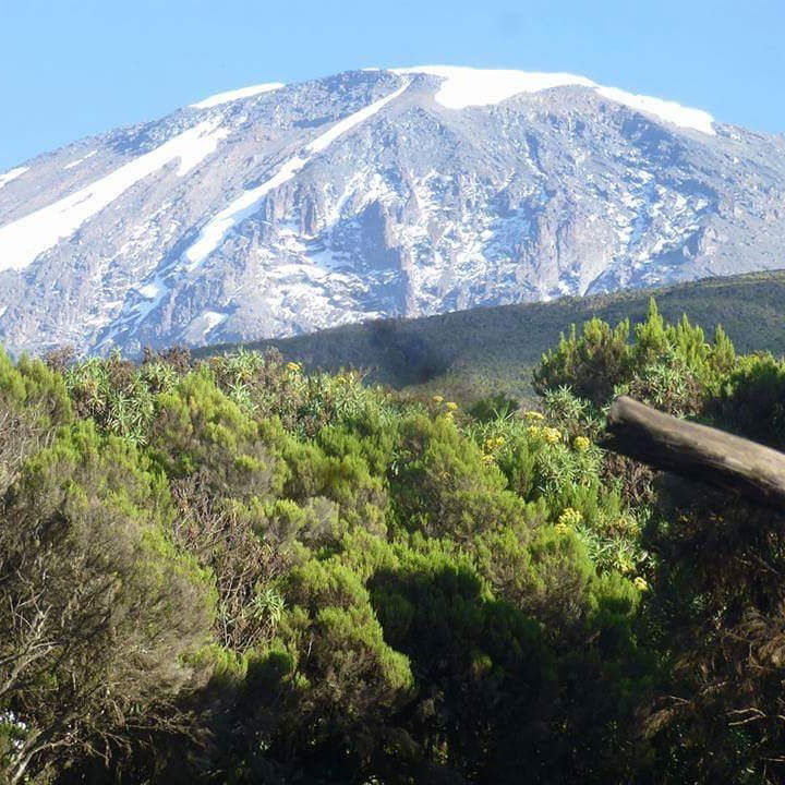 Восхождение (тур) на Килиманджаро 5895-  2023, Танзания, Африка с русским гидом, Программа тура, расписание заездов, стоимость (цена) тура