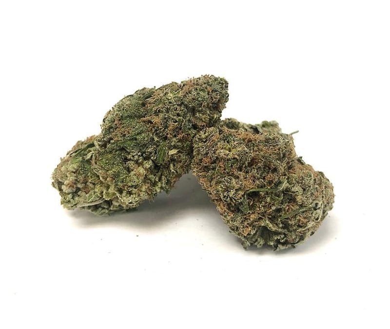 Chocolope Cannabis Strain (AAA)