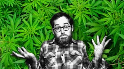 How to Get a Job in the Marijuana Industry image