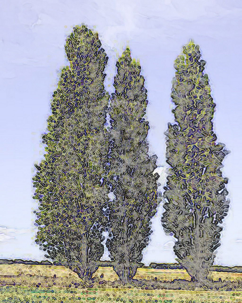 3 Trees