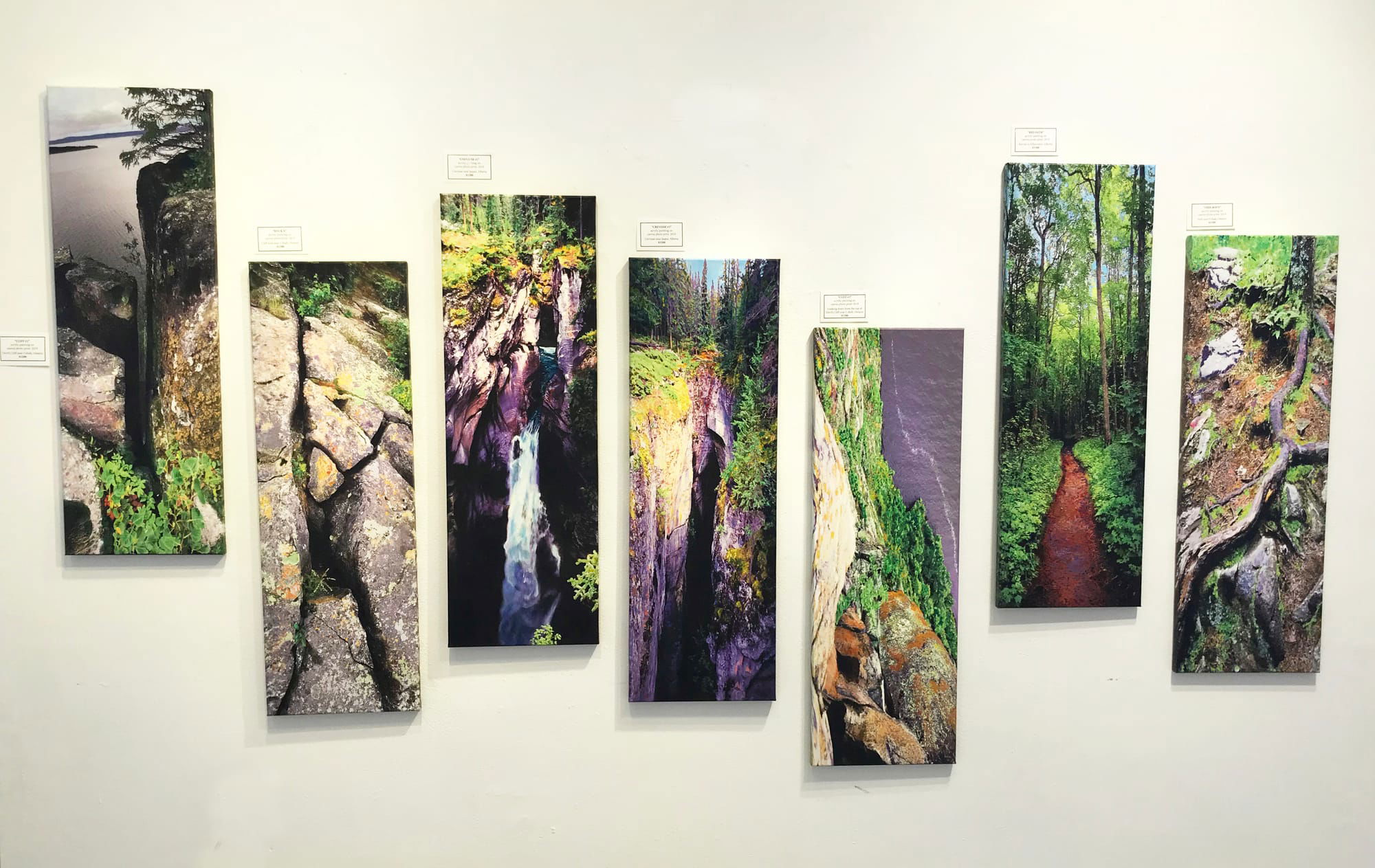 group of giclée paintings