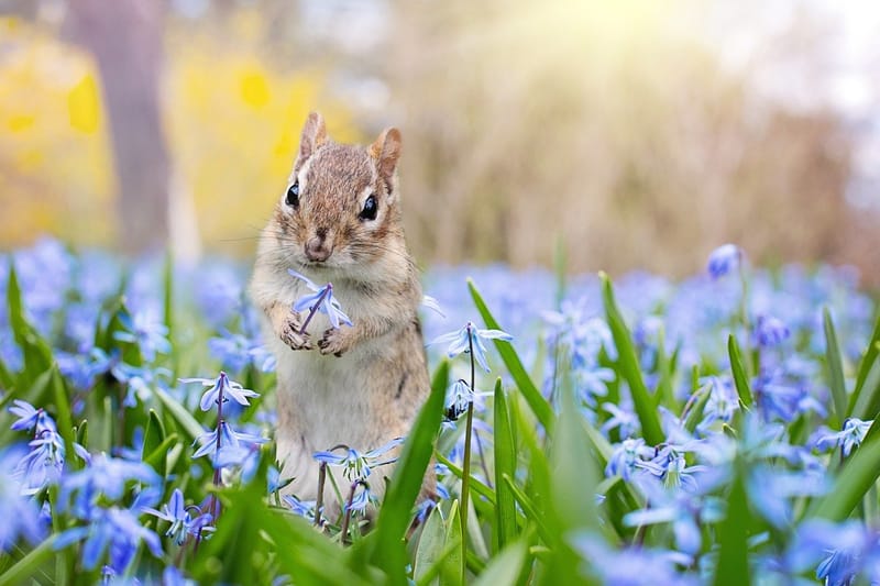 Instincts et Sous-Types (2)