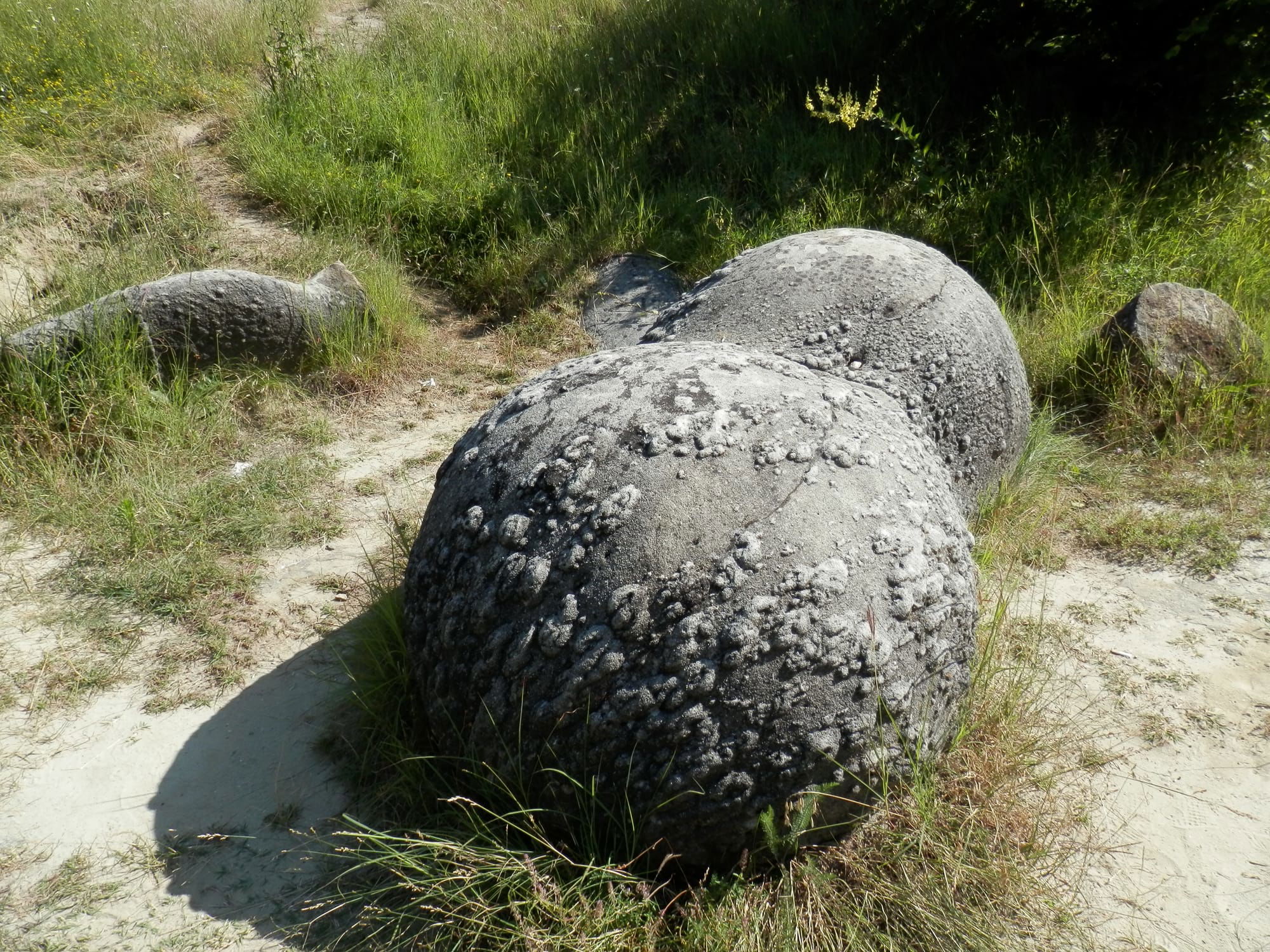"Living Stones", Costesti, Valcea County