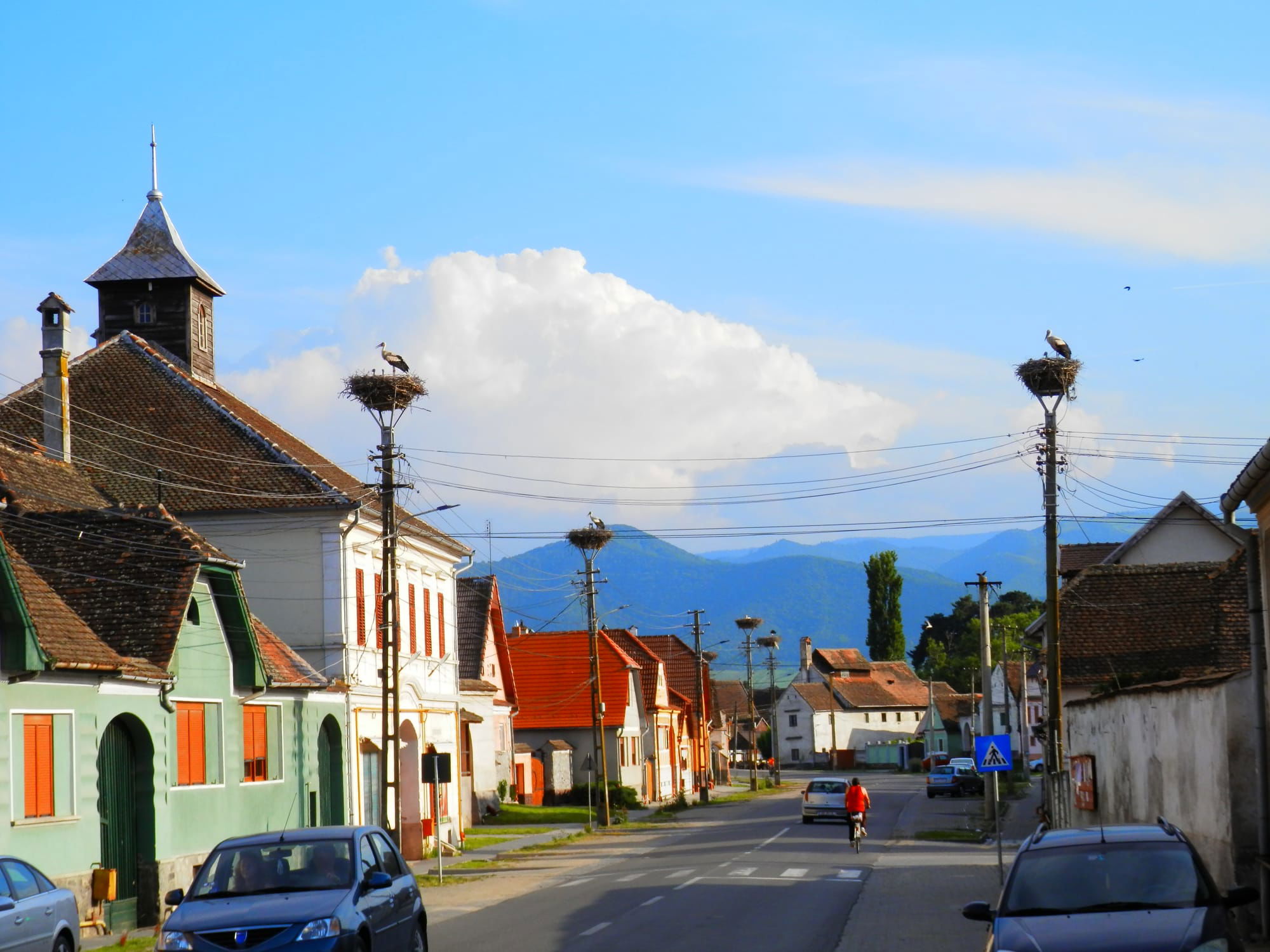 Stork Nests, Cristian Village, Sibiu County