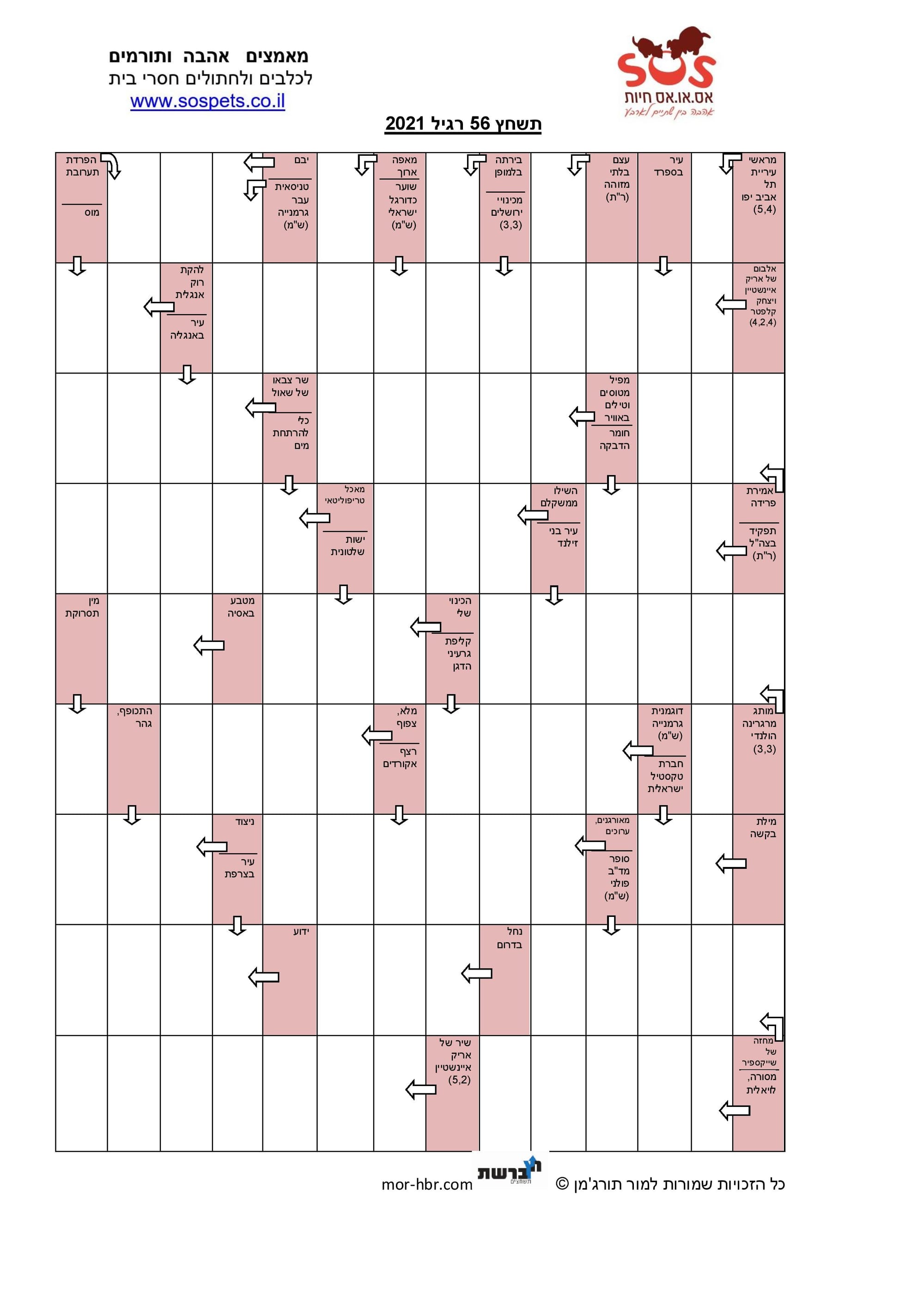 תשחץ 56 רגיל 2021