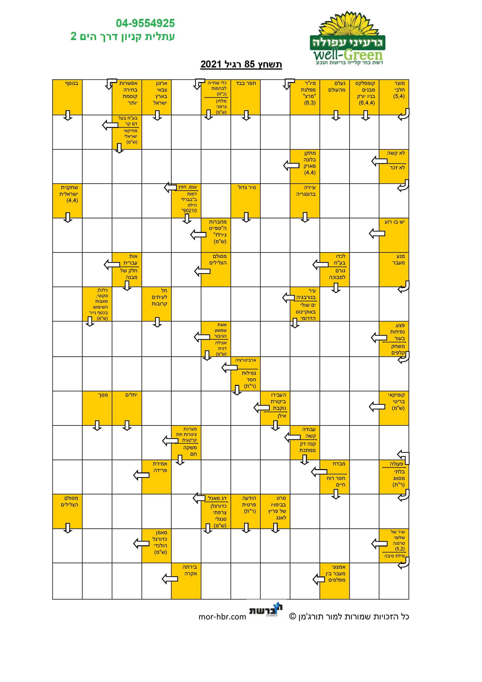 תשחץ 85 רגיל 2021