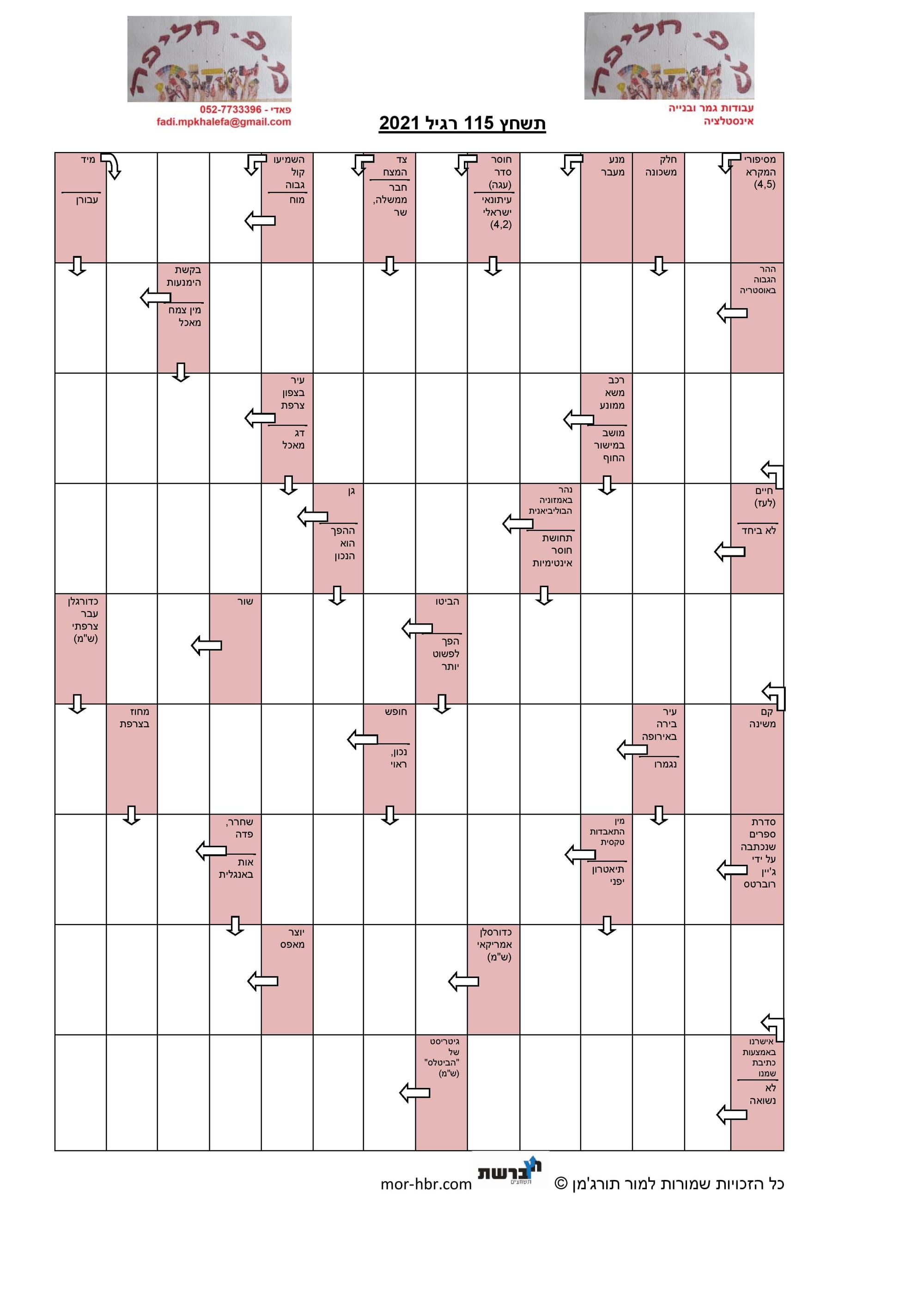תשחץ 115 רגיל 2021