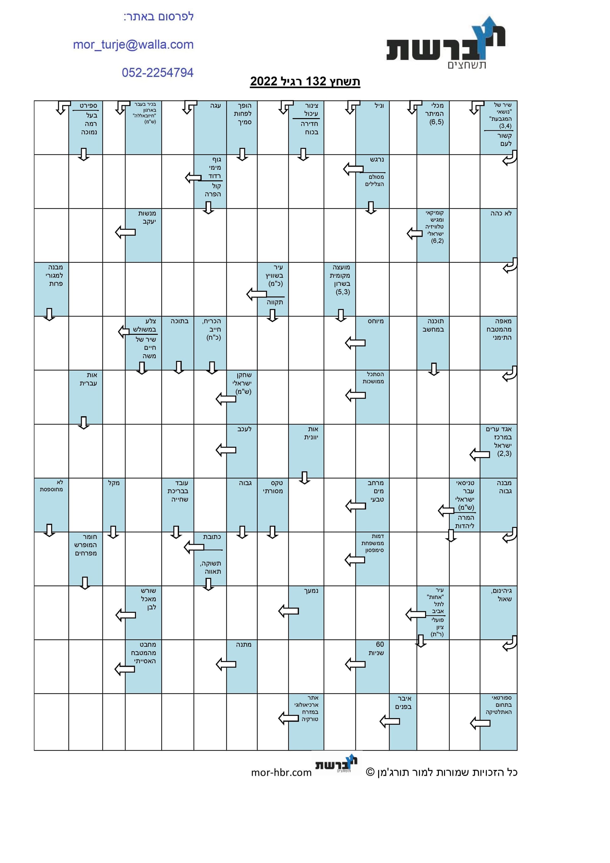 תשחץ 132 רגיל 2022