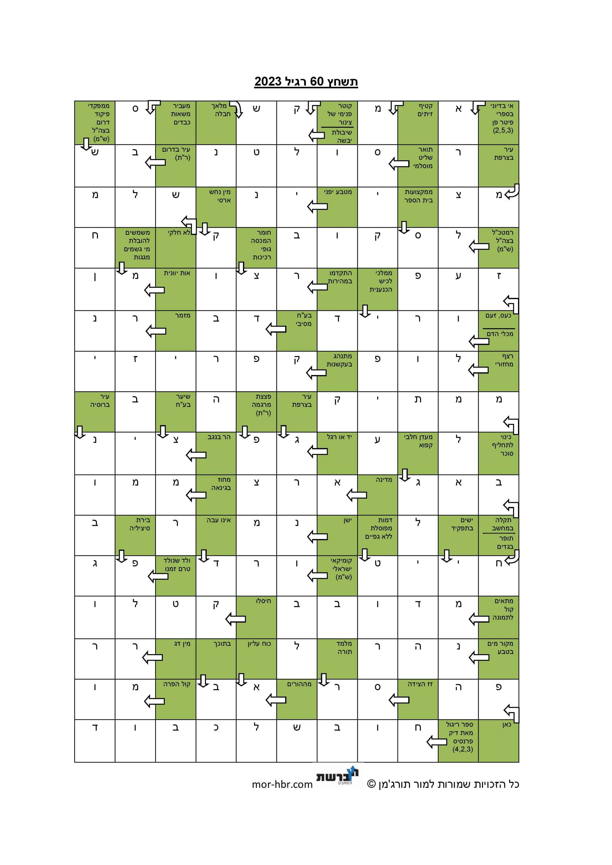 תשחץ 60 רגיל 2023 פתרון