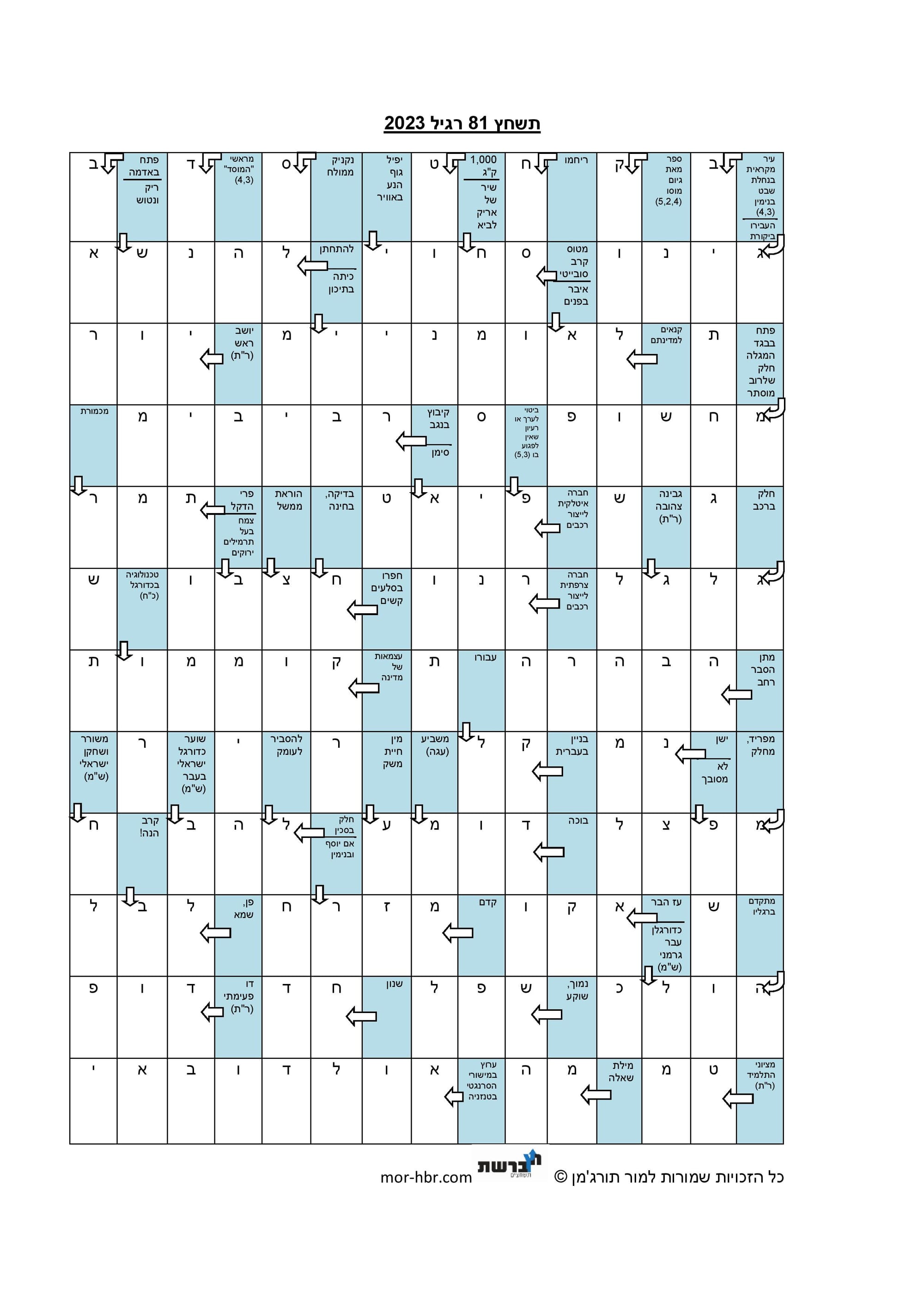 תשחץ 81 רגיל 2023 פתרון